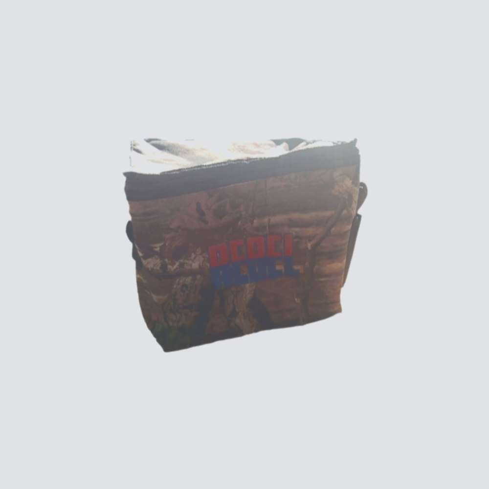 Bud light cooler bag